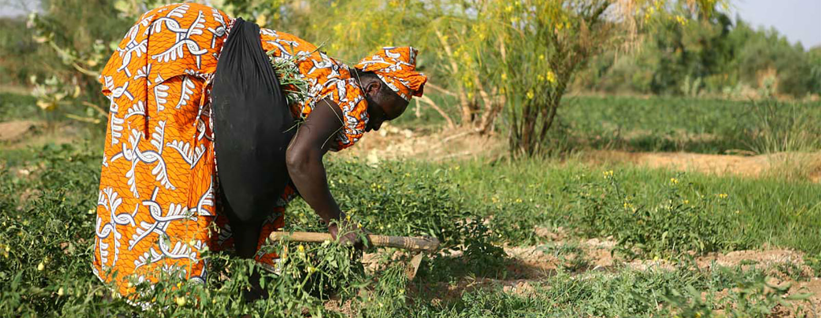 Mec Fadec Njambur Microcredit, epargne et credit